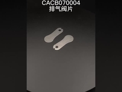 T0024