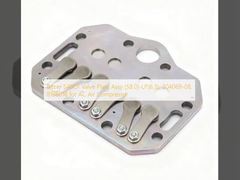 Клапанная пластина Bitzer S4BCF (58.0)-LP(6.5), 304069-08, 818601B для компрессора переменного тока